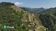 Produrre vino in armonia con la natura