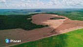Deforestation made in Italy