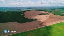Deforestation made in Italy