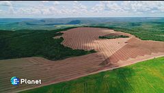 Deforestation made in Italy