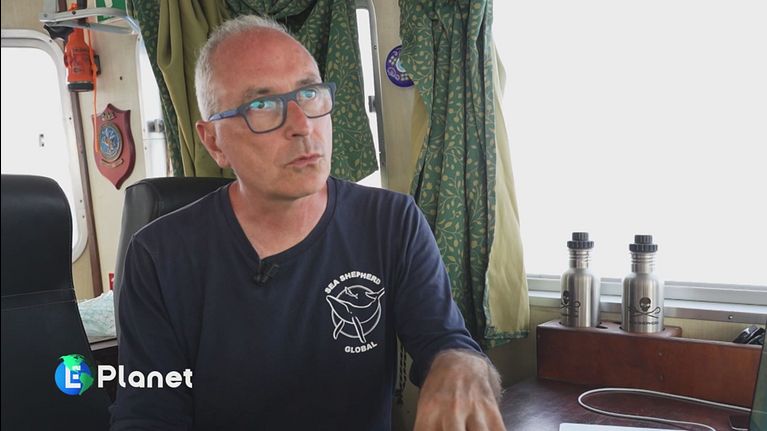 Sea Shepherd: the battle to protect our seas