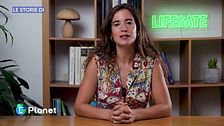Le Storie di: inquinamento luminoso e animali