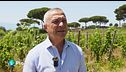 Natura, vino e turismo