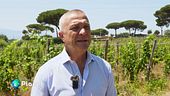 Natura, vino e turismo