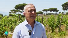 Natura, vino e turismo