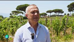 Natura, vino e turismo