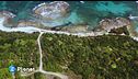 Le foreste del mare