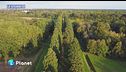 Le Storie di: le foreste minacciate da Trump