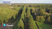 Le Storie di: le foreste minacciate da Trump