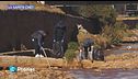 Lo sapete che: in Bolivia si prova a salvare un fiume