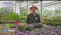 E-Garden: astri settembrini