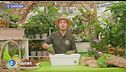 E-Garden: balcone autunnale