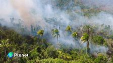 Tecnologie per l'ambiente, prevenire e monitorare gli incendi