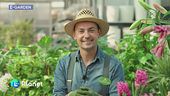 E-Garden: messa a dimora dei bulbi
