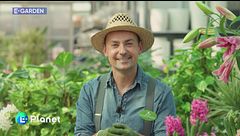 E-Garden: messa a dimora dei bulbi