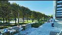 Città spugna: un modello per il futuro