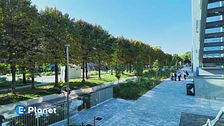 Città spugna: un modello per il futuro