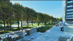 Città spugna: un modello per il futuro