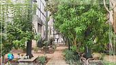 La Cutura: un tesoro botanico