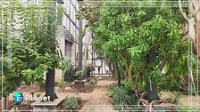 La Cutura: un tesoro botanico