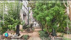 La Cutura: un tesoro botanico