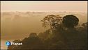 Il Living Planet Report del WWF