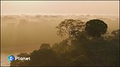 Il Living Planet Report del WWF