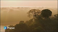 Il Living Planet Report del WWF