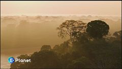 Il Living Planet Report del WWF