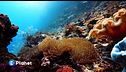 Cop17, agire per la natura