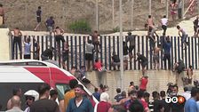 Ultim'ora del 30 luglio, ore 2.00