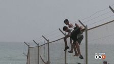 Ultim'ora del 31 luglio, ore 6.00
