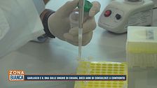 Garlasco e il dna sulle unghie di Chiara, dieci anni di consulenze a confronto