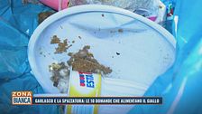 Garlasco e la spazzatura: le 10 domande che alimentano il giallo