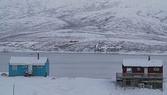 Edizione ore 12.00 del 20 gennaio