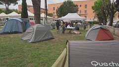 Edizione ore 19.00 del 26 gennaio