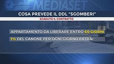 Edizione ore 19.00 del 5 maggio