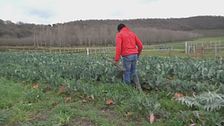 Edizione ore 19.00 del 10 maggio