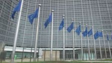 Edizione ore 12.00 del 16 maggio