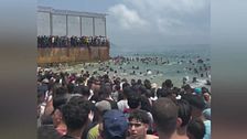 Edizione ore 12.00 del 31 luglio
