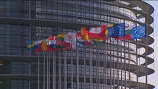 Edizione ore 12.00 del 4 agosto