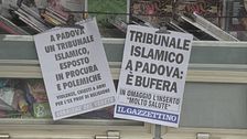 Edizione ore 19.00 dell'8 ottobre