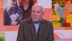 Interventi chirurgici nelle tartarughe