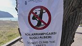 "Vietato arrampicarsi sugli alberi", a Sestri Levante nuovo stop