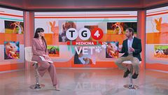 Come addormentare gli animali dello zoo