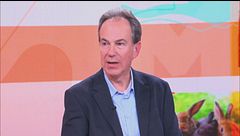 Il pesce rosso
