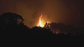 Toscana, incendio sul monte Faeta, evacuati in 3500