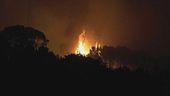 Toscana, incendio sul monte Faeta, evacuati in 3500