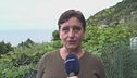 Dalle beghe di condominio alle greggi, cambia vita per tosare le pecore