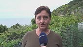 Dalle beghe di condominio alle greggi, cambia vita per tosare le pecore